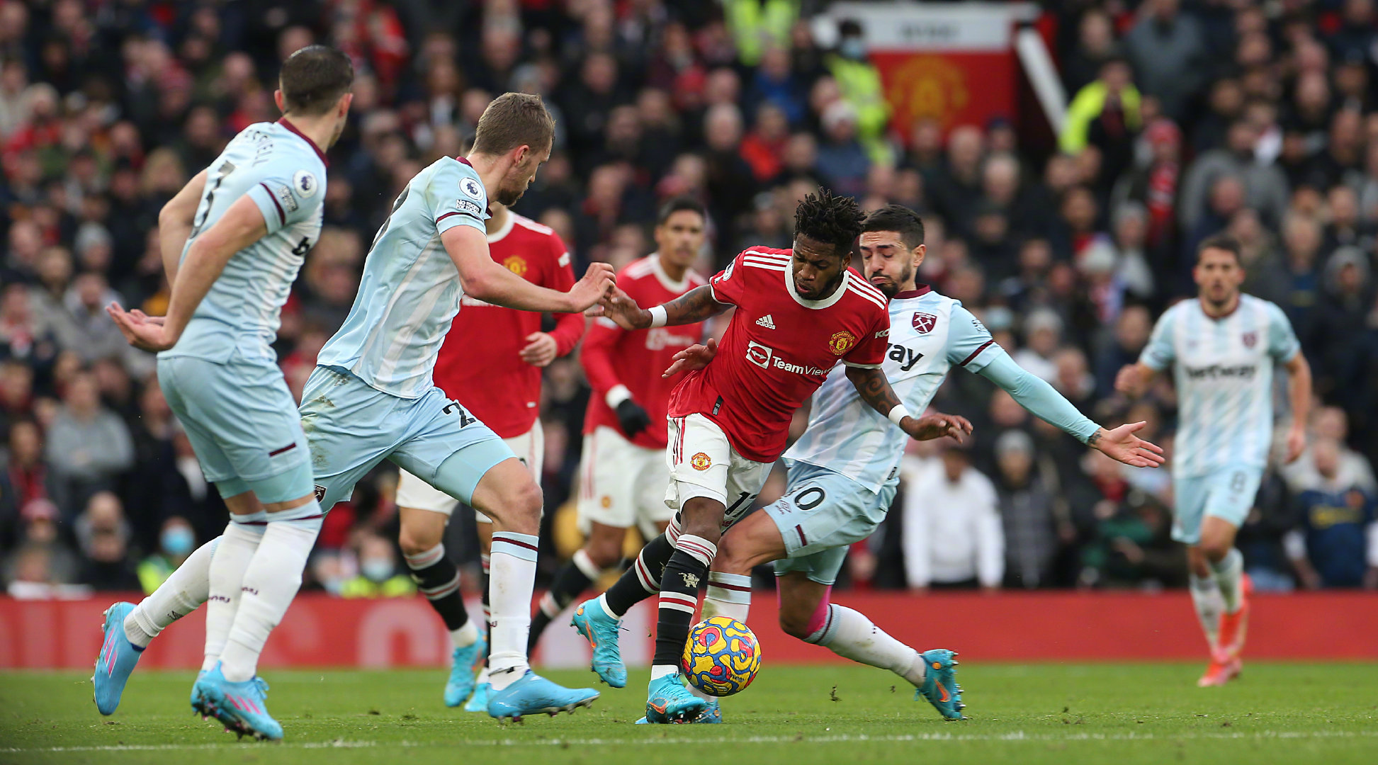 凤凰般绽放 凤凰般绽放